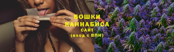 шишки Балахна